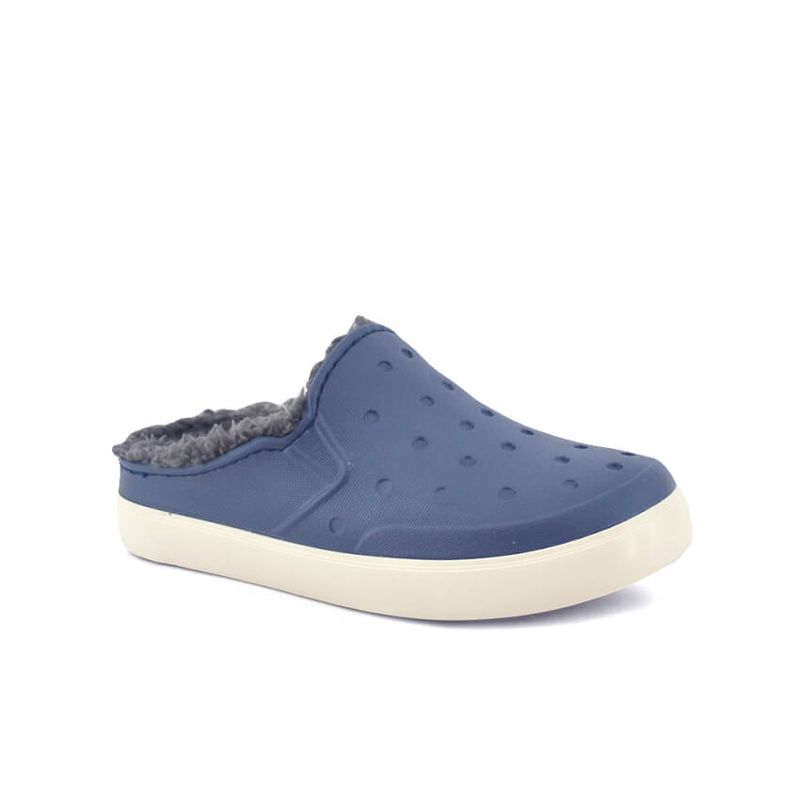 hum_SLIPPERPATAGBLUEWHIT