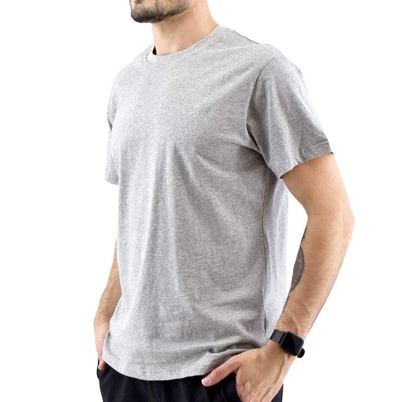 aby_0000601GRIS