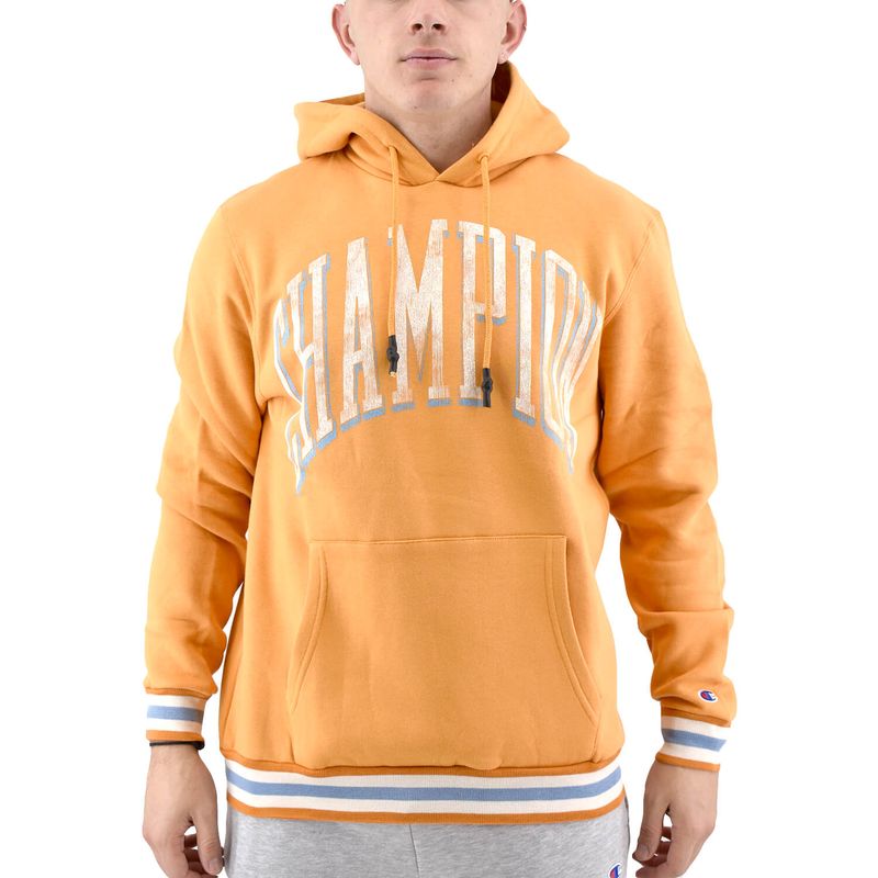 Champion sweater brown clearance 990