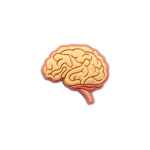 Pin Crocs Anatomical Brain