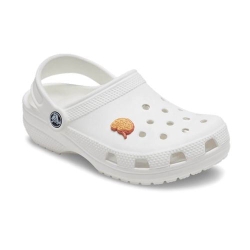 Pin Crocs Anatomical Brain