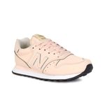 nb_gw500ae1