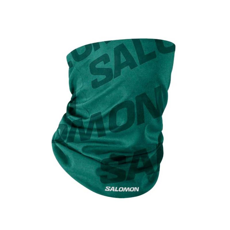 sal_40171