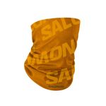 sal_40172