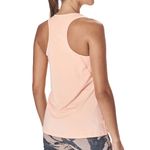 va_9632SALMON_2