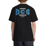 dc_1252102037_1