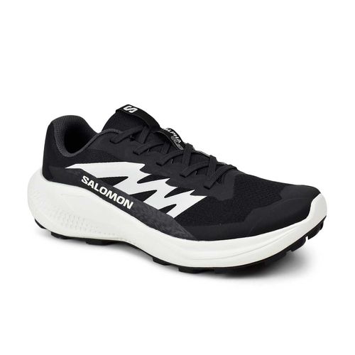 Zapatilla Salomon Alphaglide