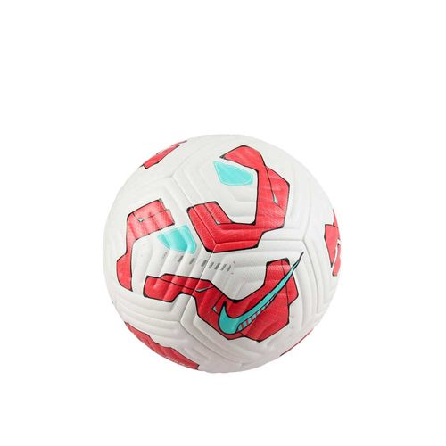 Pelota Nike Academy Plus
