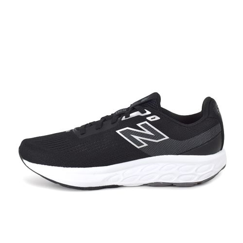 Zapatilla New Balance Fresh Foam 520 v9
