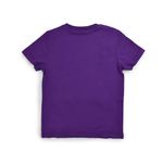 nba_NBATS324210PR1_1