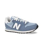 nb_gw500bls