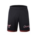 nba_NBASH525202BK2