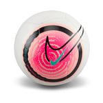 ni_FZ3060103
