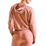 va_4064ROSA_1