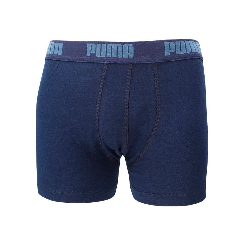 pum_88886960