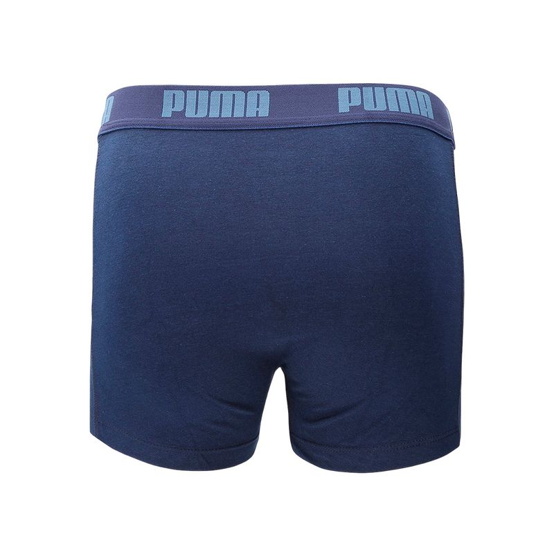 pum_88886960_1