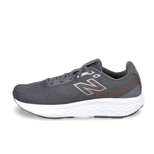 Zapatilla New Balance Fresh Foam 520 v9