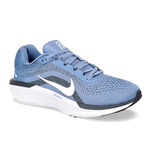 Zapatilla Nike Winflo 11