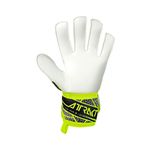 rs_RGU198AMARILLO_2